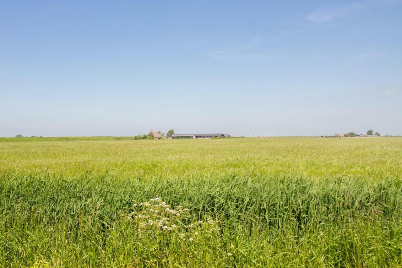 Traphoeve Schagen Luaran gambar